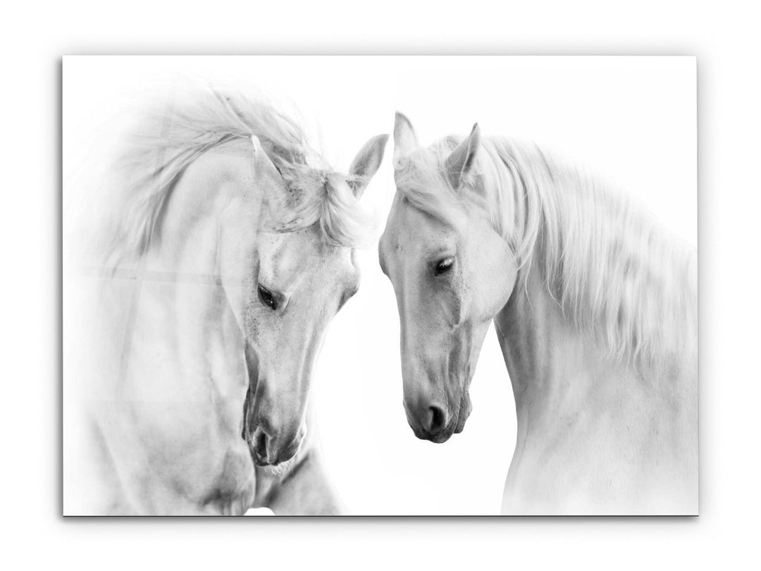 Horse Glass Printing Wall Art-Home Office Wall Painting Decoration