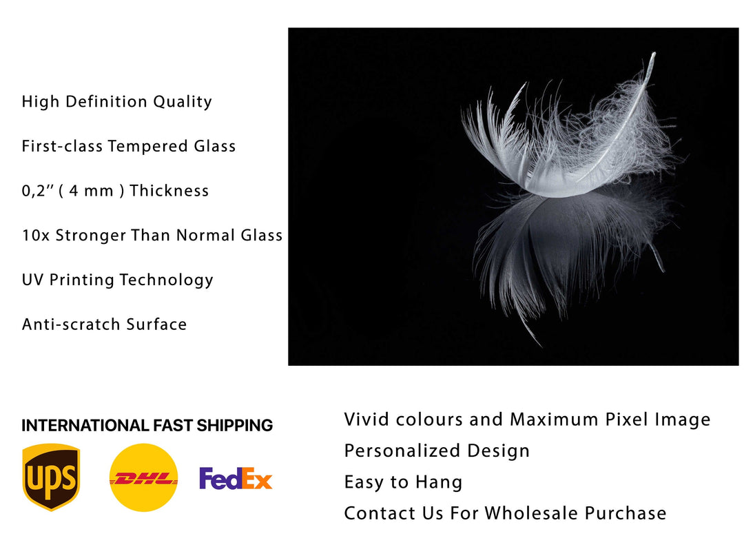 Feather Glass Printing Wall Art-Home Office Wall Painting Decoration