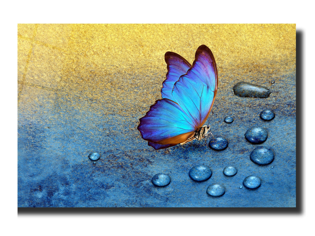 Blue Butterfly Glass Printing Wall Art - Modern Glass Wall Decor