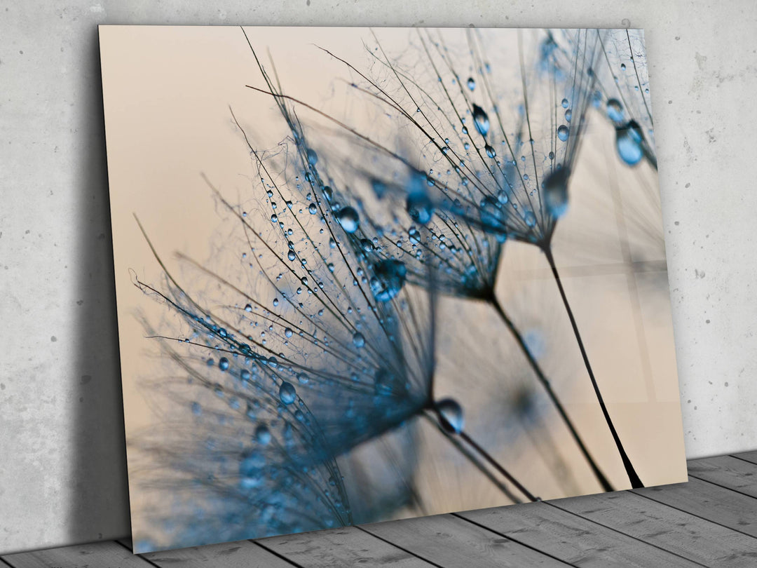 Abstract Dandelion  Glass Printing Wall Art - Modern Glass Wall Decor